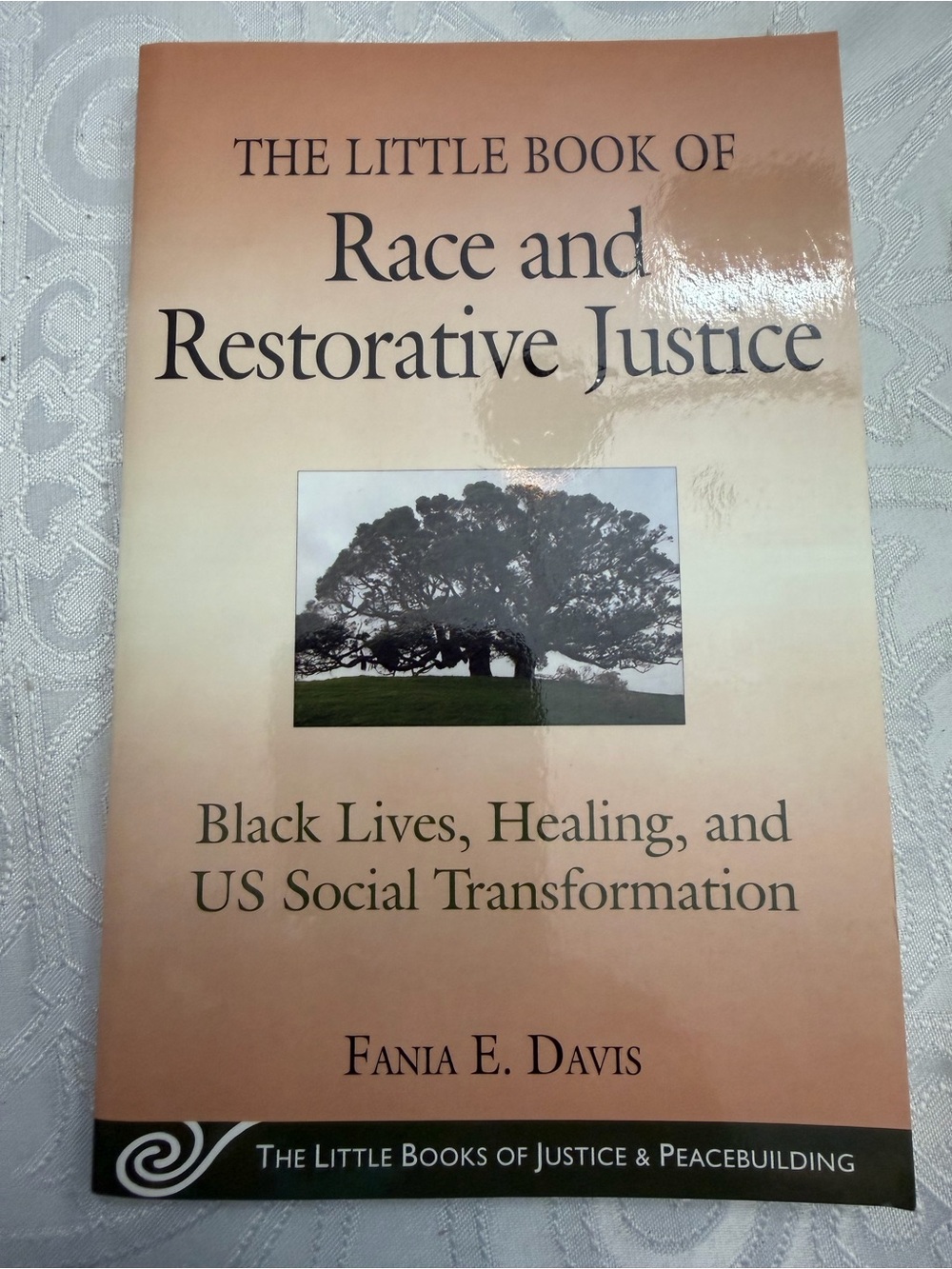 Fania E. Davis The Little Book of Race and Restorative Justice Professional Dev